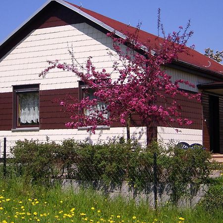 Waldblick Villa Waltershausen Dış mekan fotoğraf
